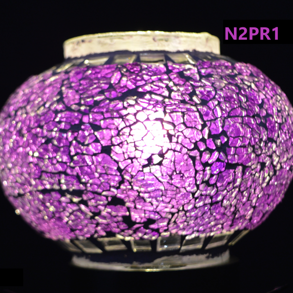 N2PR1