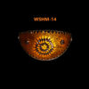 WSHM-14